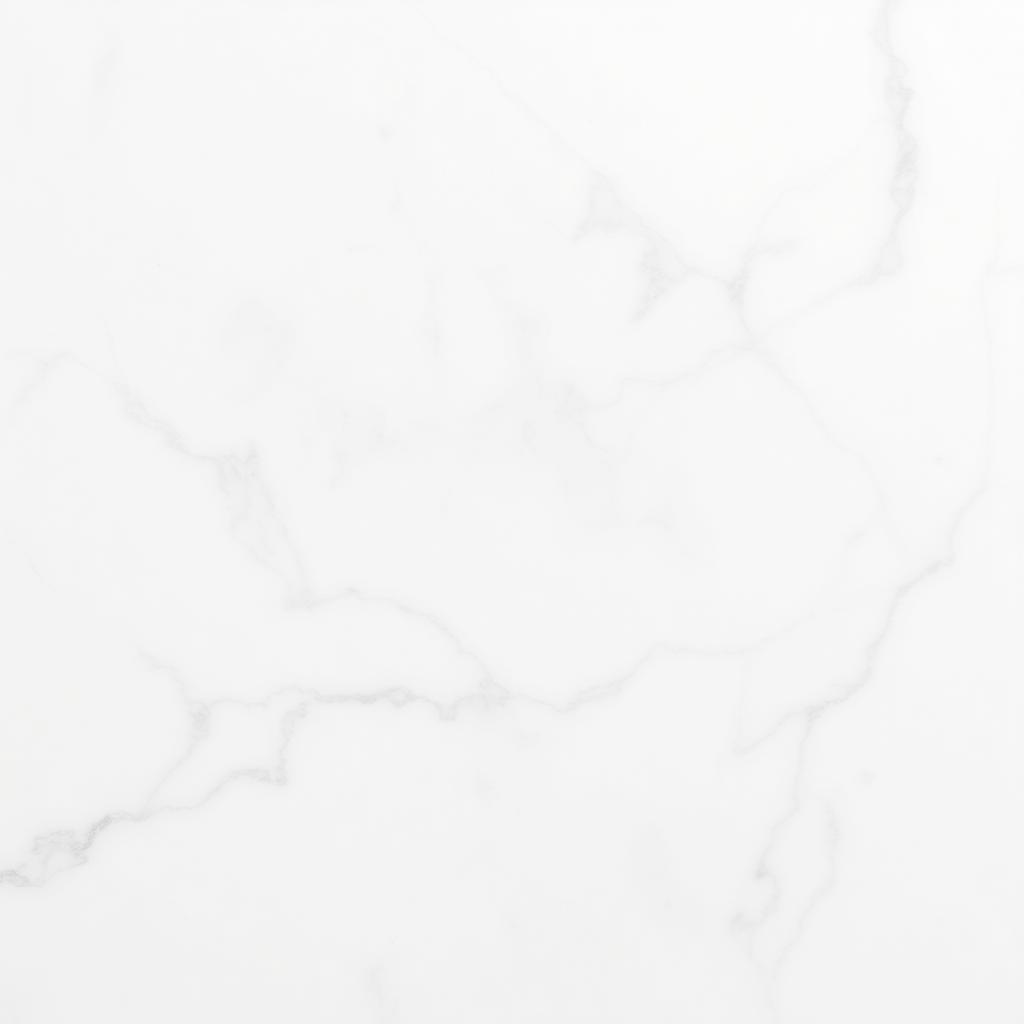 Carrara White marble slab